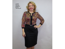 ��2060 �������