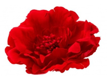 6899. �����. �����-�����. ������ 11 ��. 59 ���.jpg