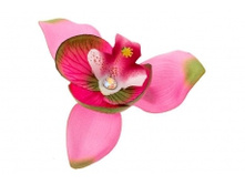 1431. �����. �����. ������ 9 ��. 29 ���.jpg