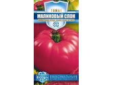 ��������� ����