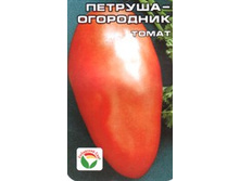 ������� ���������