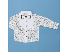 2vt192s �������.