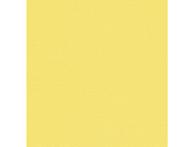 3830.jpg
