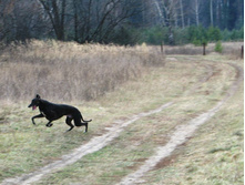 10636265 776357079097384 6423967943299501770 n.jpg