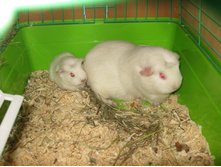 IMG 4574.JPG