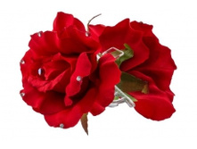 9273. �����. ����. ������ 10 ��. 34 ���.jpg