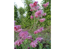 ��������� ������