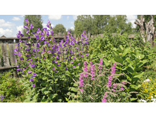 ������������