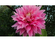 №14 �������.jpg