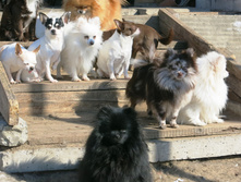 ������ 038.JPG