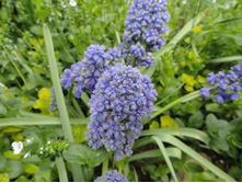 ������� �������� ��� �����