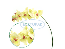 ��000521 ������� ���������� ������ ������-��̣��� 105 �� (12 ��. ���.)(Mbox 288��.) 583�.png