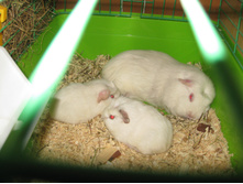IMG 4607.JPG