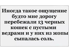 13 ������ ����� � ������� �������.jpg