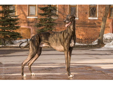 11011671 850414531691638 3112217038726840633 n.jpg