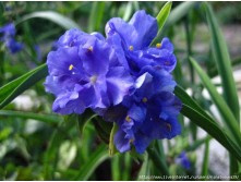 ������������ �������� ���� ����