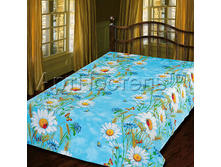 �������� ����.jpg