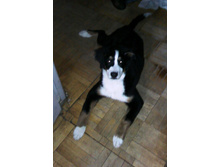 IMG 20160308 101329.jpg