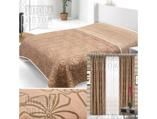 Dorotea gracia korichn.jpg