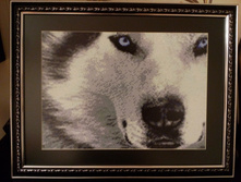 141083580-img 20160227 205816.jpg