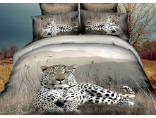 ���. CS992-2-50.jpg