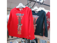 ���. ����