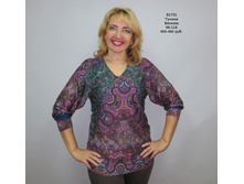 �1731 �����