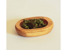 ��������.