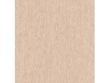 3872.jpg