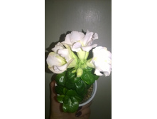 WP 20160320 20 41 18 Pro.jpg