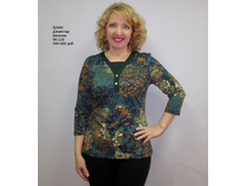 �2069 ��������