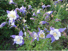 ��������� ��������������� ������ � �����