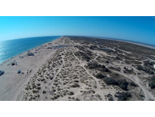 ��� � �����, ������ ���� 2015�.