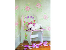 16734 ���� 500 ������� ����-���, ���� �����.jpg