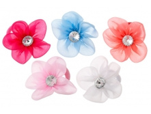 4705. �������. 10 ���. 6 ��. 179 ���.jpg