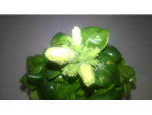 WP 20160303 22 20 38 Pro.jpg