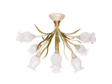 422010708 7300�.jpg