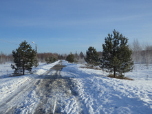 06.JPG