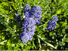 ������� ��������