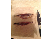 ����� ���������, ������ , ������.