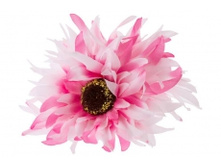 9241. �����. ����. ������ 10 ��. 29 ���.jpg