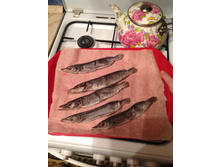 ���� (�������)