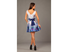 ������ ���� ����� 1061   ���.����