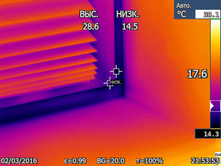 ������ ����