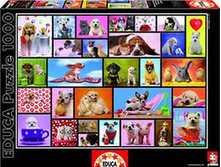 15518 ���� 1000 ������� �������� �������.jpg