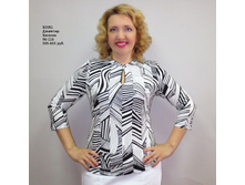 �2081 �����-�����