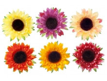 0691. �����. �����. 6 ��. ������ 9 ��. 239 ���.jpg