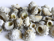 ������� ������ ��., �������:8896, 76�