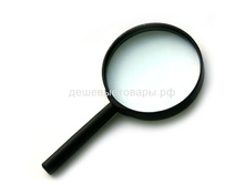 ���� �������������� 100�� 68�.jpg