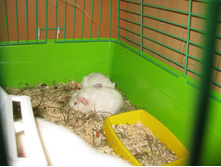 IMG 4330.JPG
